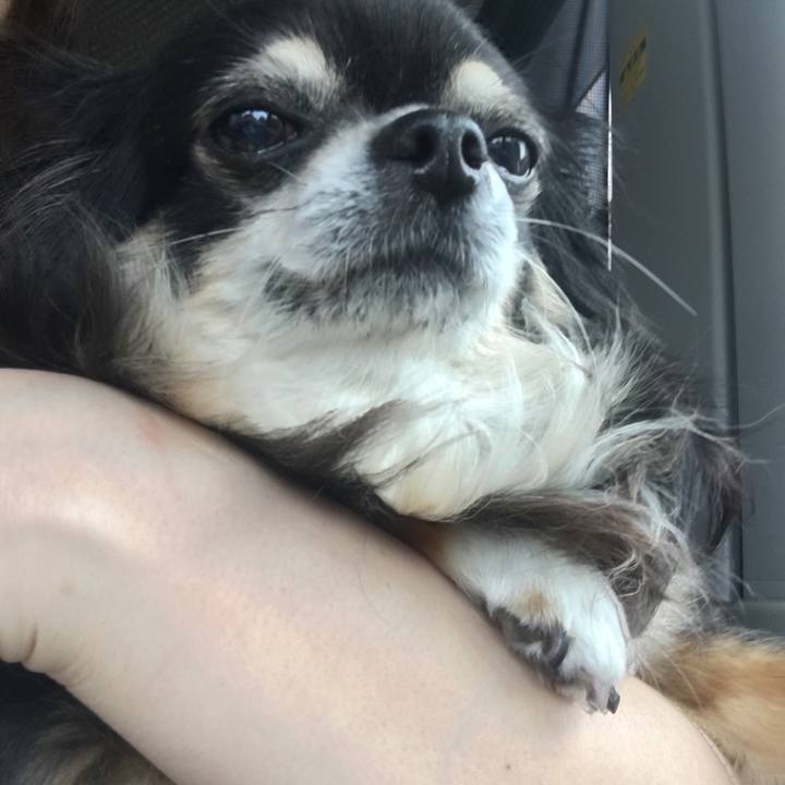 09893175 937e 467a ac34 c8f1c2880117