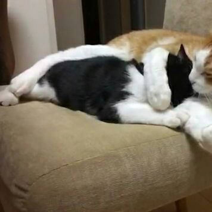 09896be4 e28e 4a21 b2c3 66a78db239b2