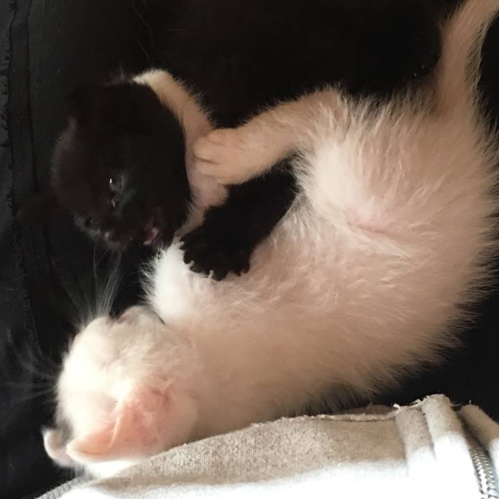 0989775b 71dd 45b0 83c0 8e706cd4000f