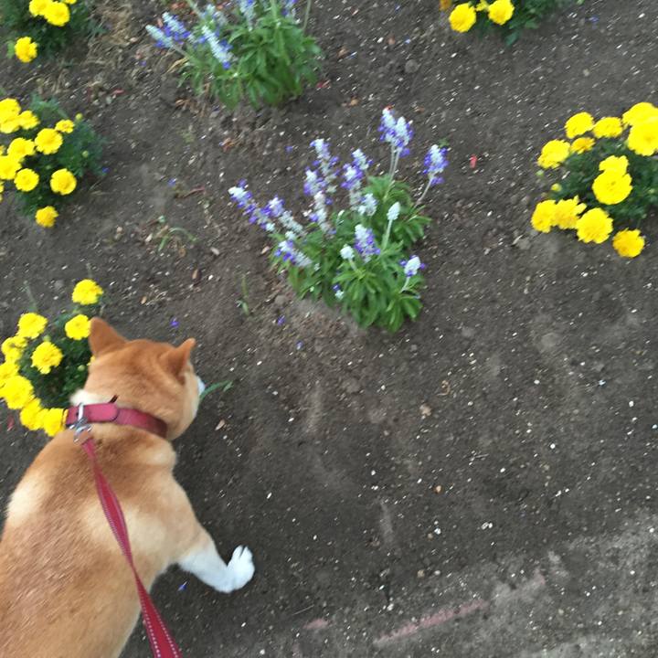 0989e3a6 7b0d 4b6d a187 dc38115c6e71