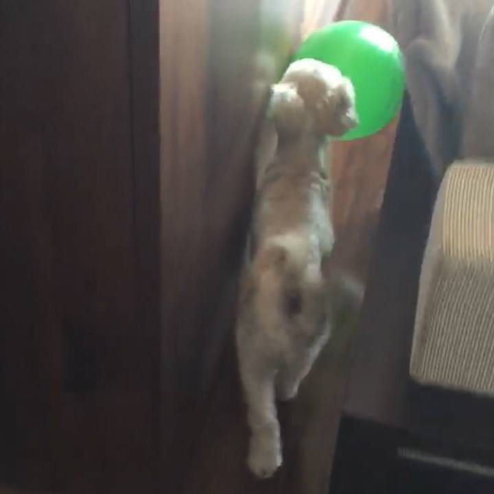 098a6121 0711 4a87 8f09 2914bc6f8299