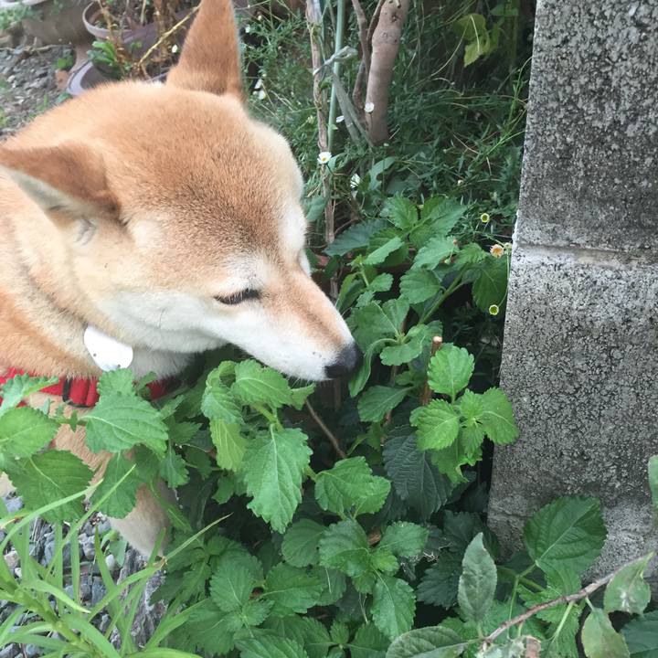 098a8d1e b304 4735 ac31 4715250fef0a