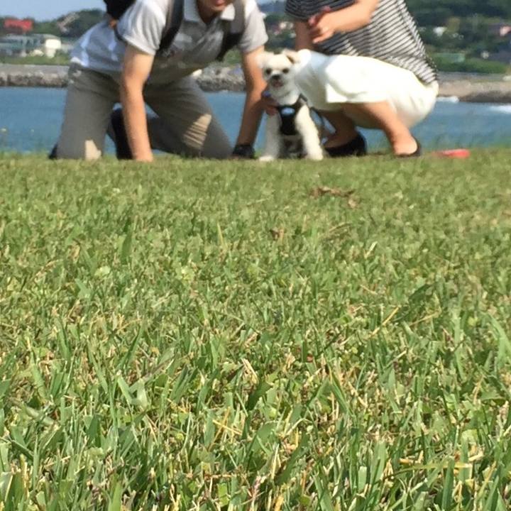 098ac046 9377 4595 8c65 75091a368ef2