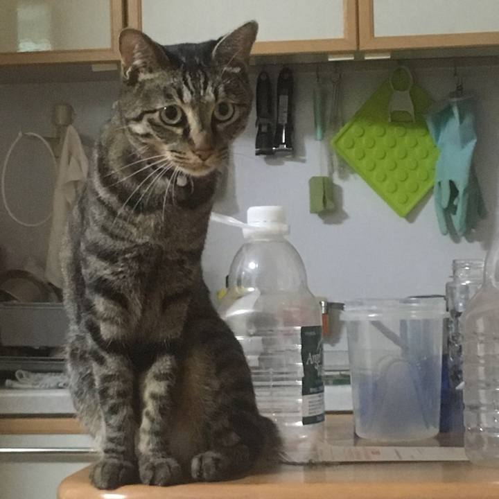 098b57fc 01f0 428f 8946 63836b2414fb