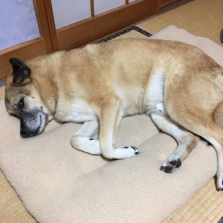 098b8a3e da7b 44cb a755 efa44d9bf895