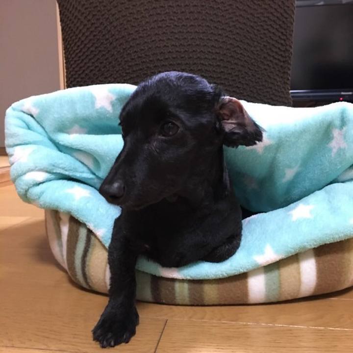 098baacd ad08 4a9a 9c77 15fa5c726458