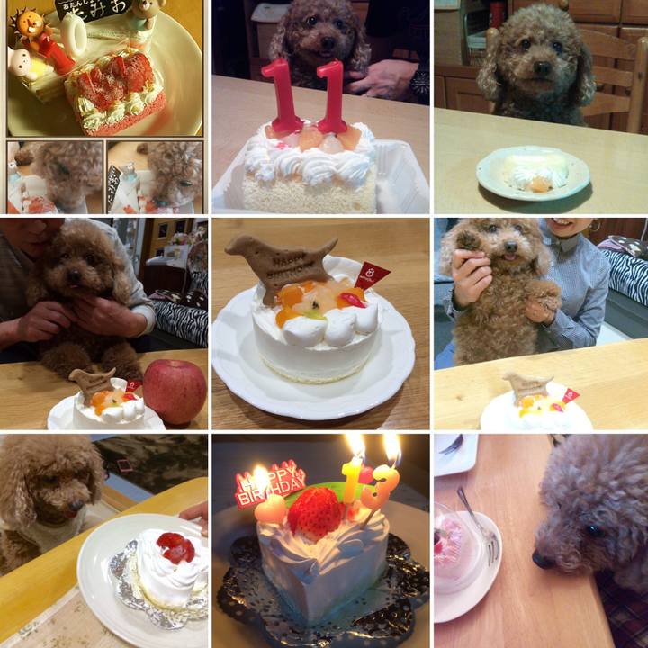 098bdc82 94c1 4fd2 b707 dd2d91dc9cfd