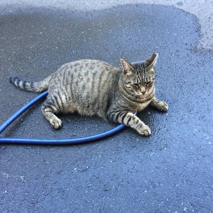 098c60b5 76e8 4c56 ad55 aacb2e97b13e