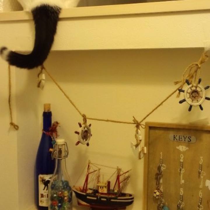 098c710d 920c 426e 80d9 63e630e376fa