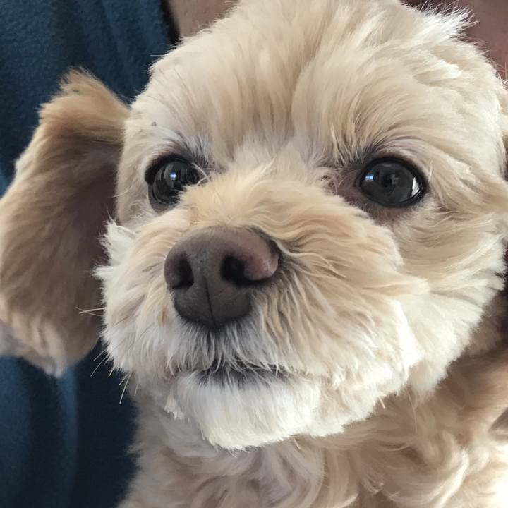 098eddb3 051a 4310 b696 c47c2457027f