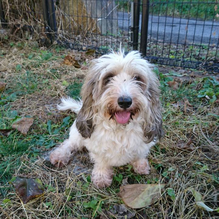 098ef901 dc35 445a 8214 ebeb91a1ec2c