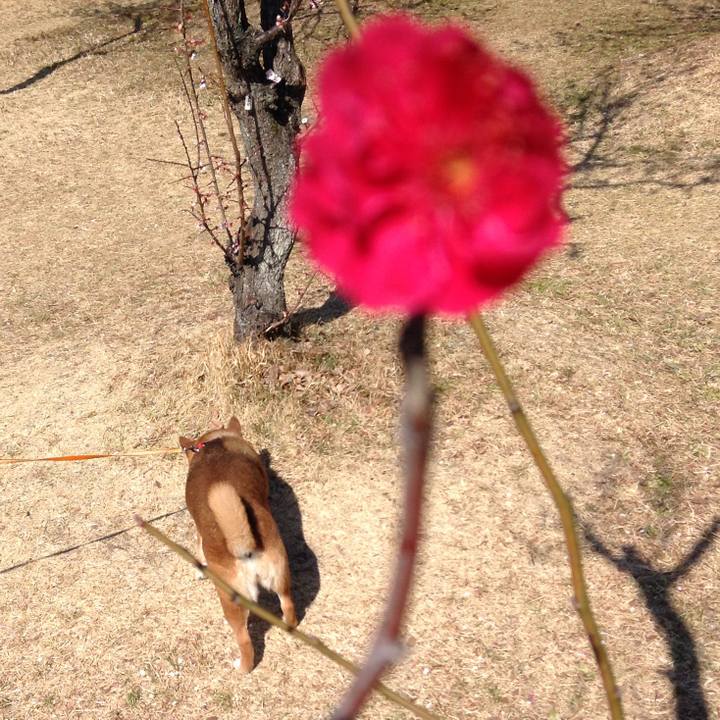 098f40ad 4371 4d76 8506 41f0b4641432