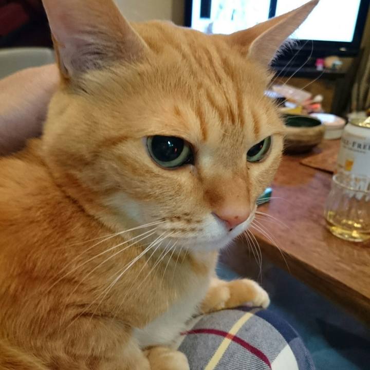 099001d7 1022 4e8a 8517 f0679c79e5ef