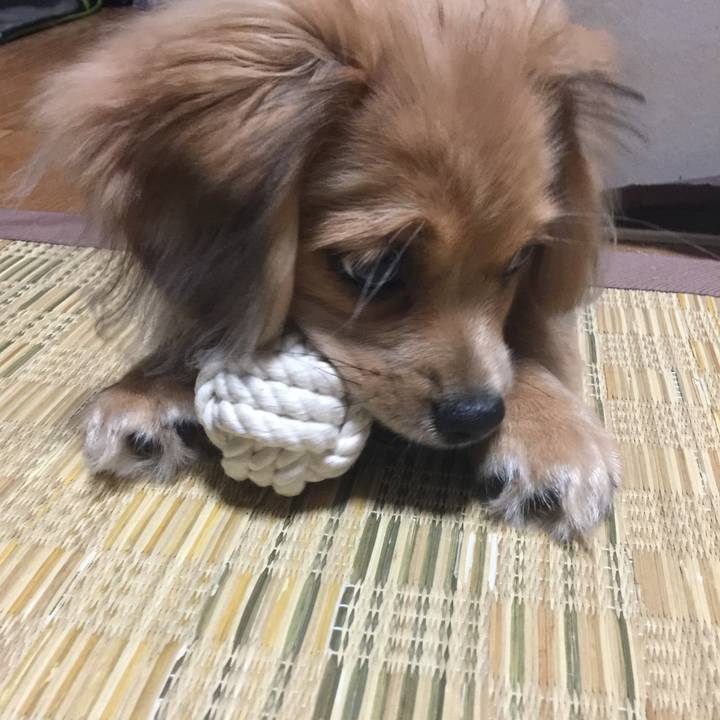 09902da8 807c 4c5c a298 b38a4e68d544