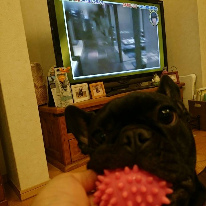 099039be 80f1 47e1 b335 9314f5b5a0b4