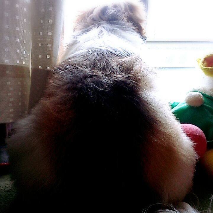 0990806b 8dde 4348 ba9f c2b98d696fa5