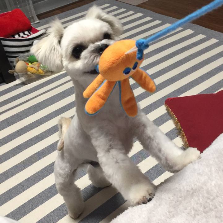 0990c89d ed16 4c98 811e 9fa17d6663a7