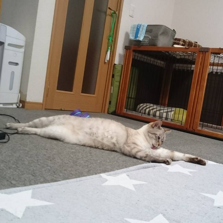 099118db 7fa9 4621 bd30 e82f3cab24b5