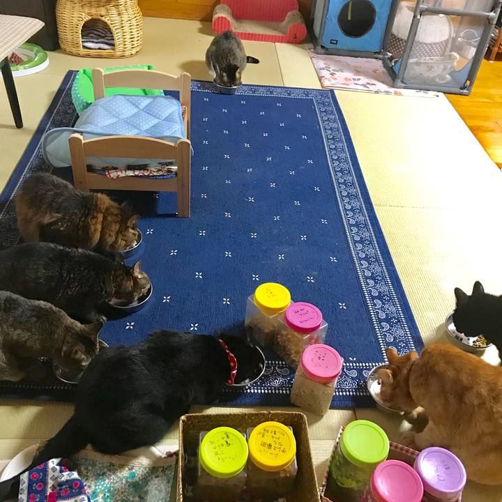 09927f3b 15d1 4948 aa97 6b537cb0fd63