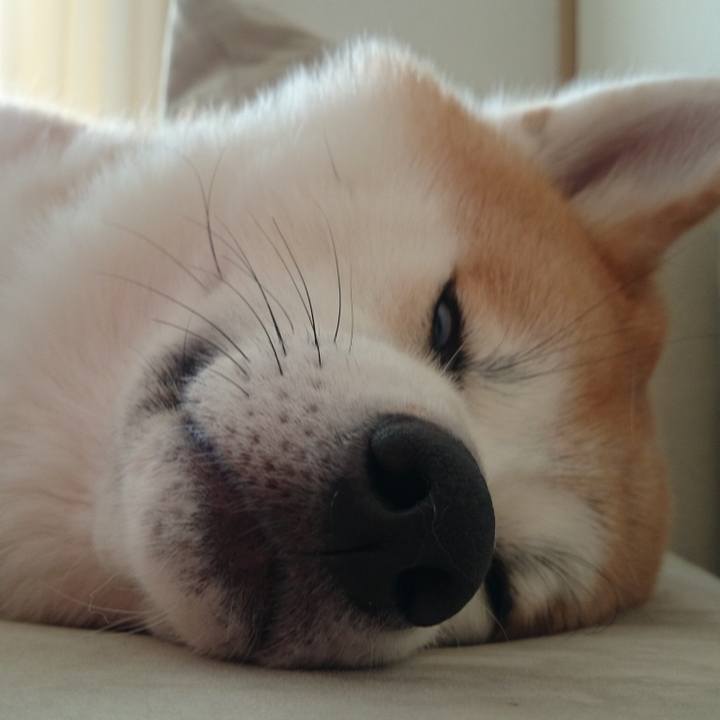 099325b2 0a83 4e8d a2c7 4848c2555e82