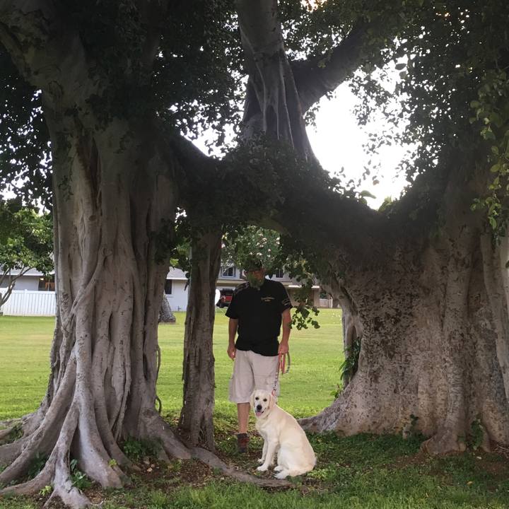 0993385c df5f 4db9 8185 3dad64ae8a63