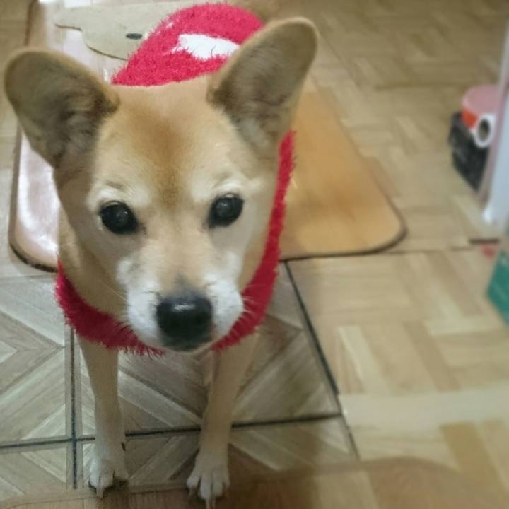 0994512e 9335 4050 920d bae735e474e5