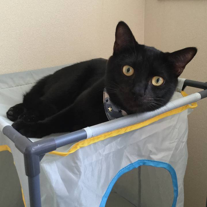 0994cedc e598 4ea8 97ca 85f22d2b7706