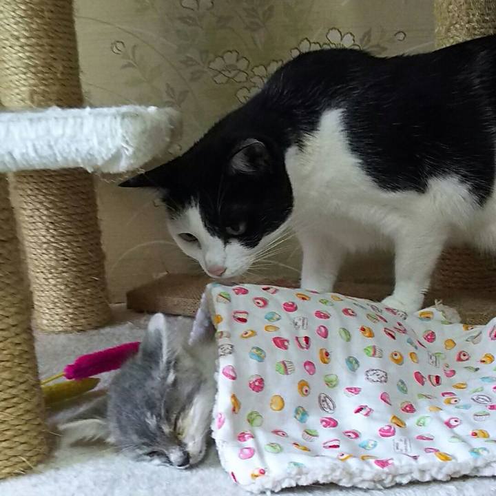 0995731f c981 4f5b 8778 91cdb9c7b983