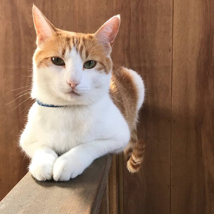 09957cdd 9c5f 40c4 997a 00e6e5433264