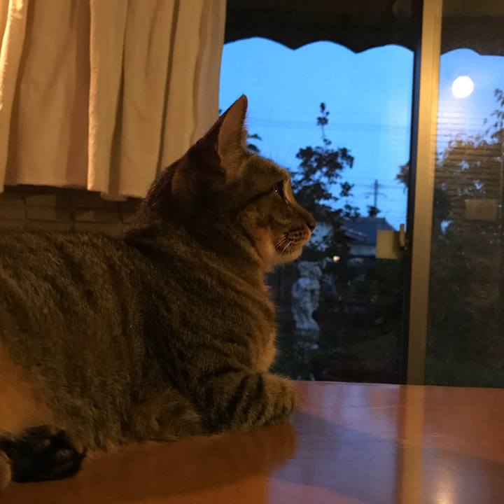 09964744 f4f6 4981 9eda b6503a07f929