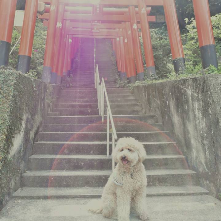 099799a0 7595 4976 b532 4781cec3e66a