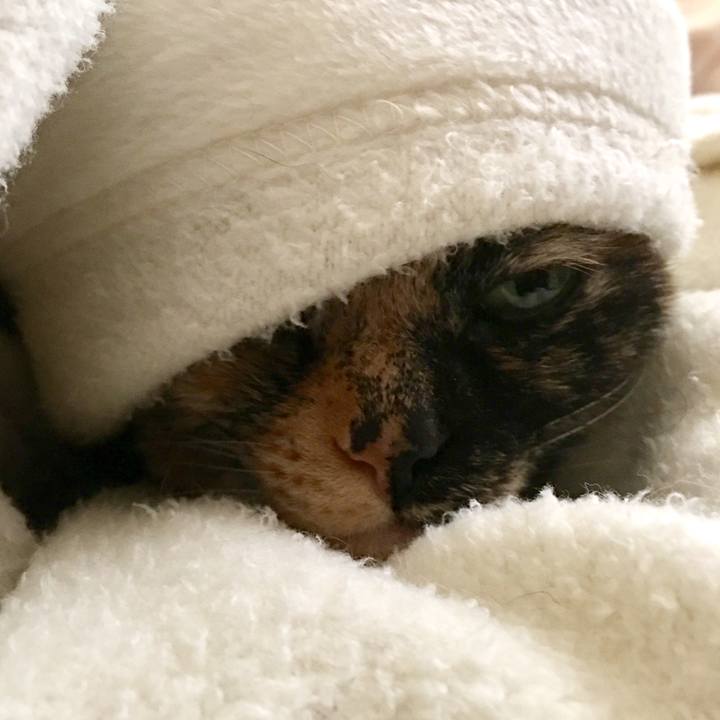 0997e471 0c58 44c0 b6bd 3a2aadd12c9d