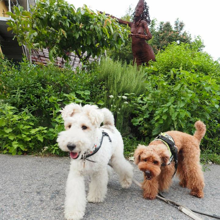 0997eb7e c420 43d4 89da c8ed647ee112