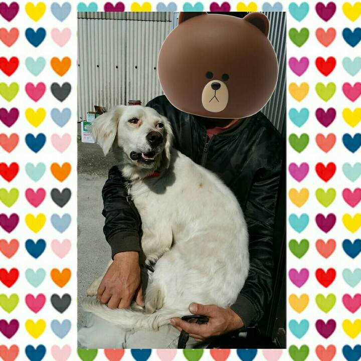 09985c2d 48b9 4b4a bed9 16077bd3111f