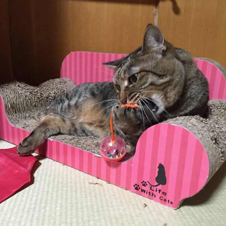 09987800 079c 4dfa 86d4 af64b8216c60