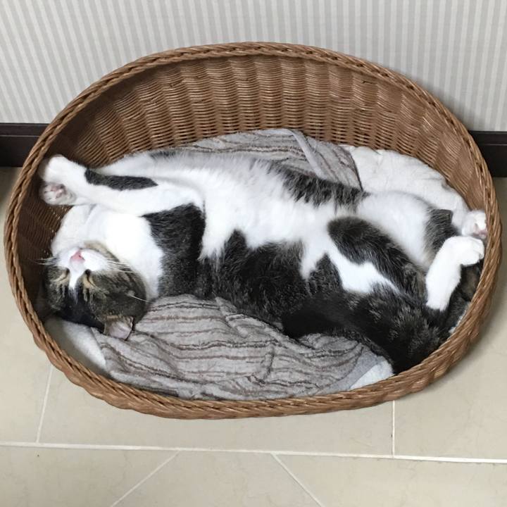 0998e245 90b1 48b4 b009 739b899c9f99