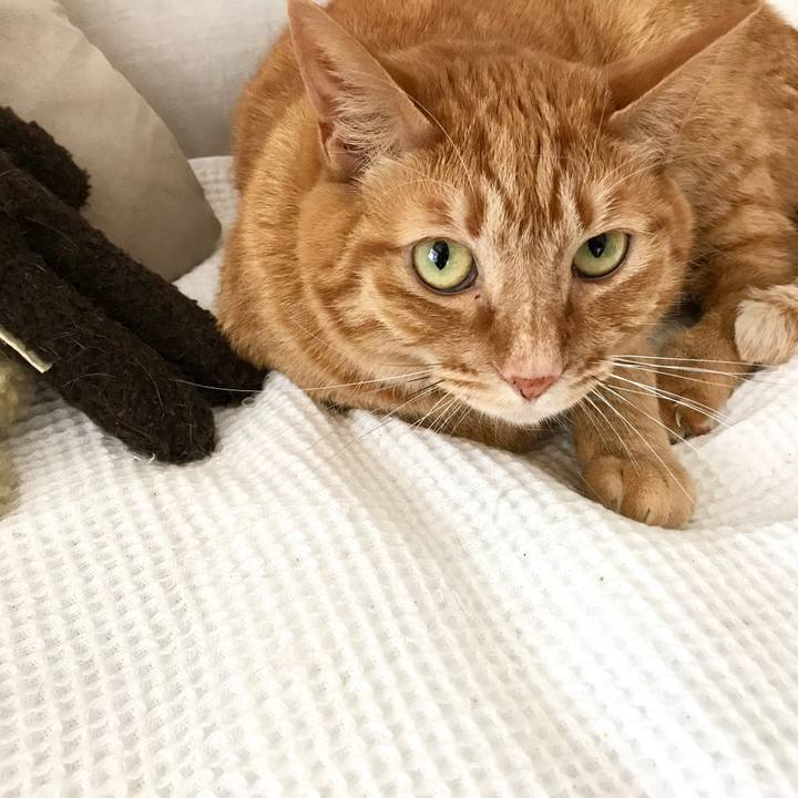 09993db2 7908 413b 8062 39685177fa6b