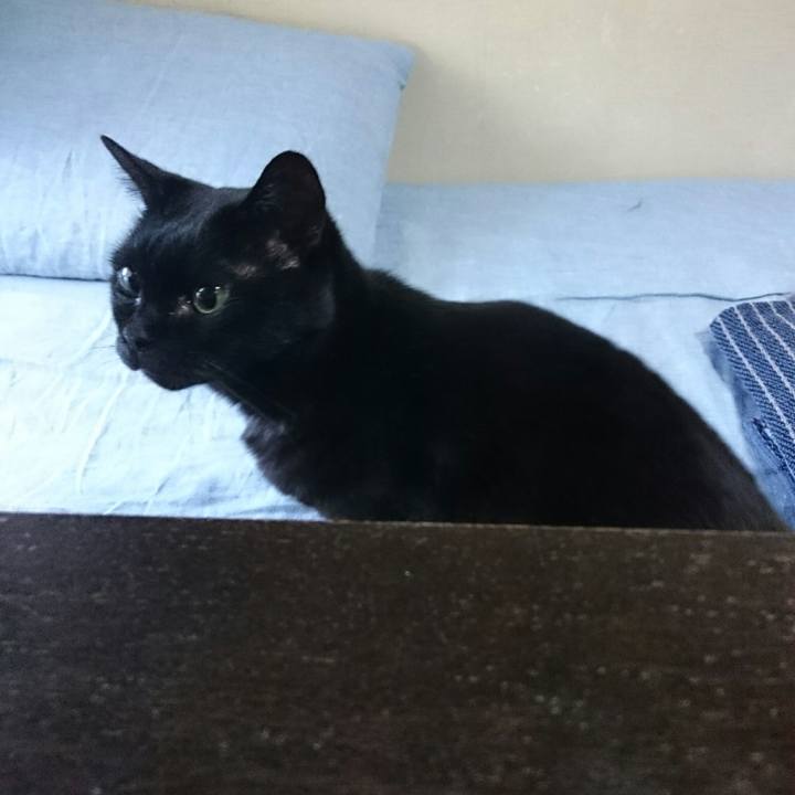 0999a649 0c7a 4390 87a7 90d4661e7513