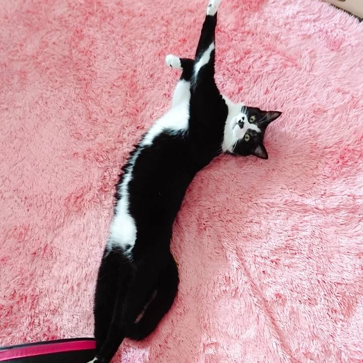 099a4275 751d 4b2b b376 4b353c6b3ff9