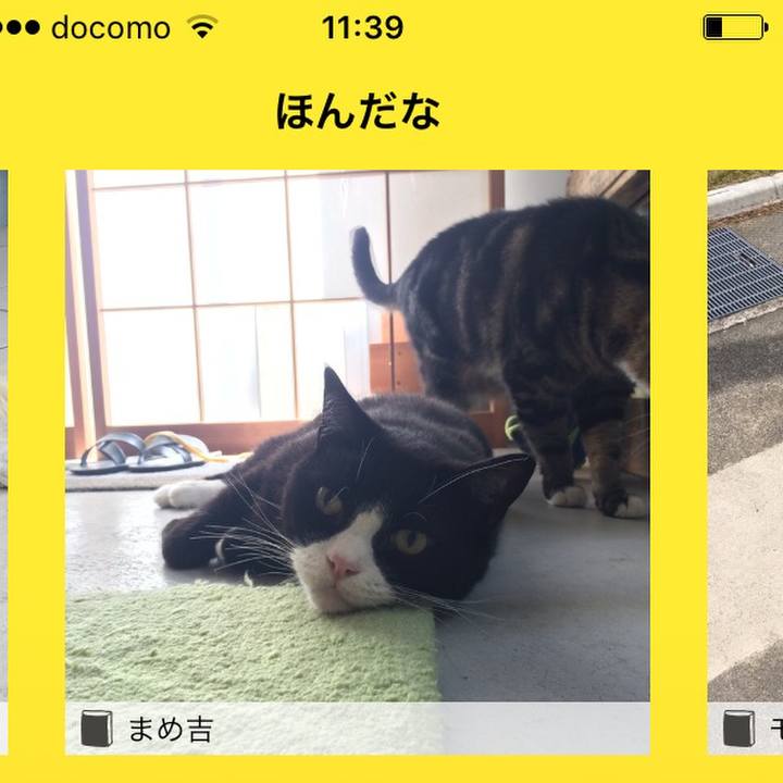 099b058b 271d 4d42 b31f 3914e0be6787