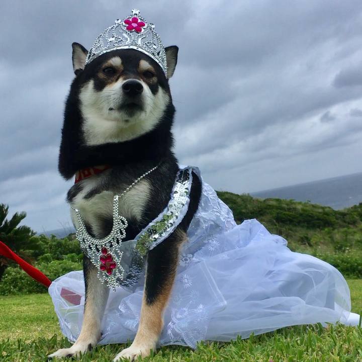 099df183 1343 447f b4d0 4f062bed1d05