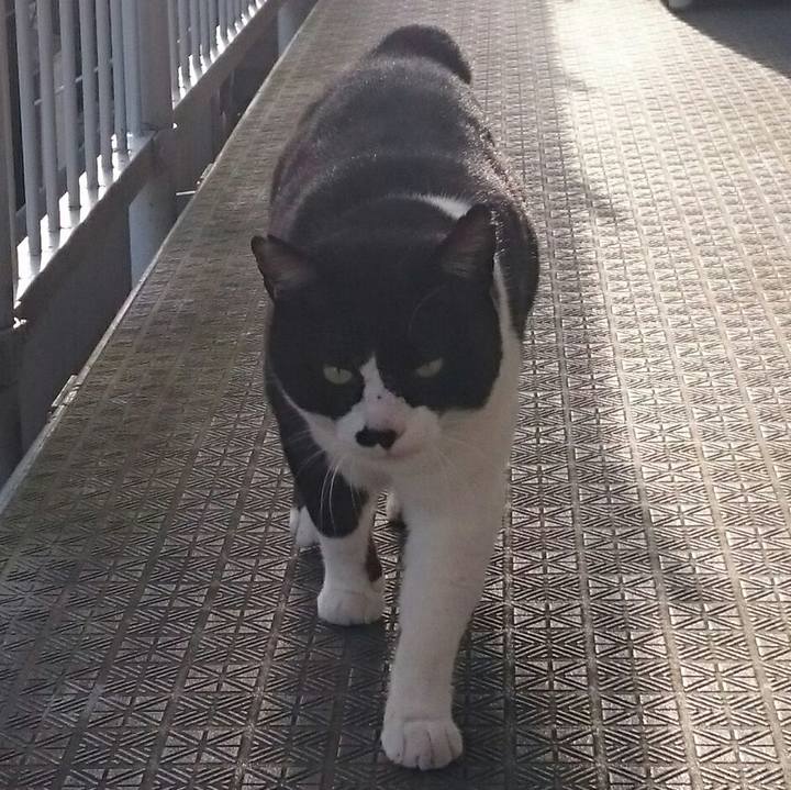 099ec271 af7d 47b7 a76d 3361009655b8