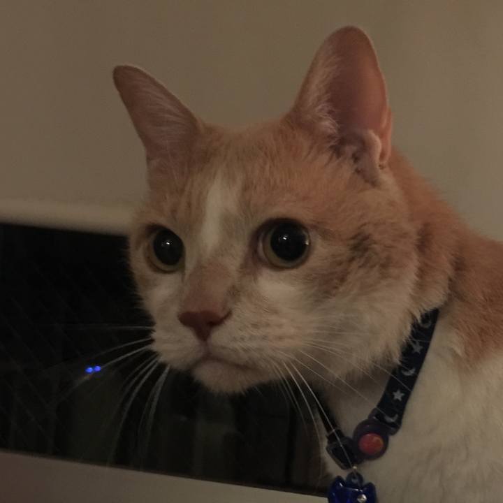 099ed435 270f 4ad5 b7ef b682b7a041dc