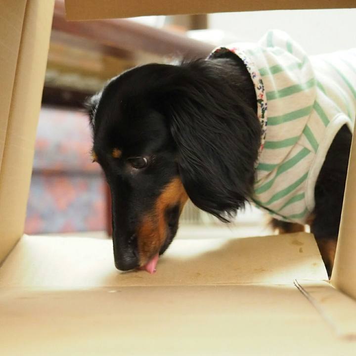 099efe3a 35df 4deb 900f d68ea8cf16b9