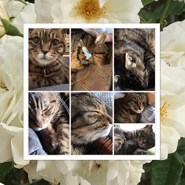 099f7384 4347 4a96 90fc a15fcf263def