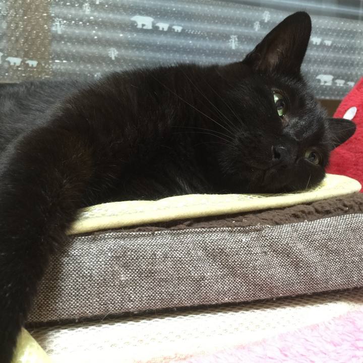 099ff1ac 0b55 4409 80bb 42e55315c4ca