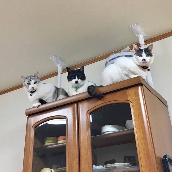 09a01659 2c20 41c0 8b7c aafa8a552a3c