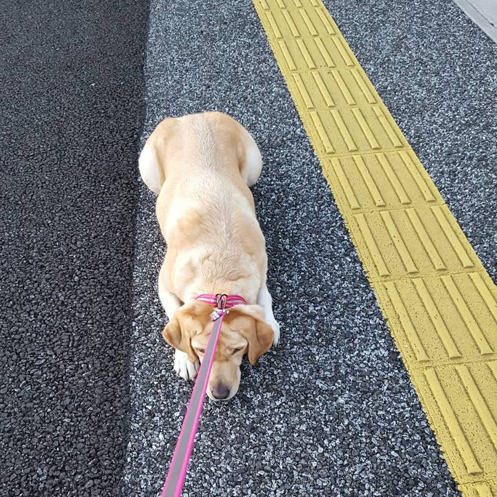 09a09ead 23e5 479e b4cc 000009cad366