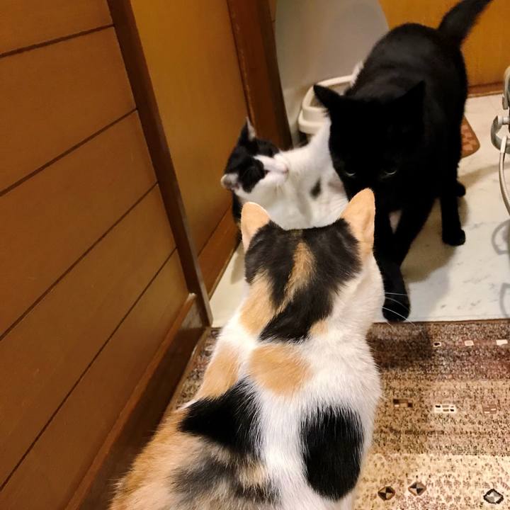 09a23f72 7d6a 469e 9ecd 017a44e91bf9