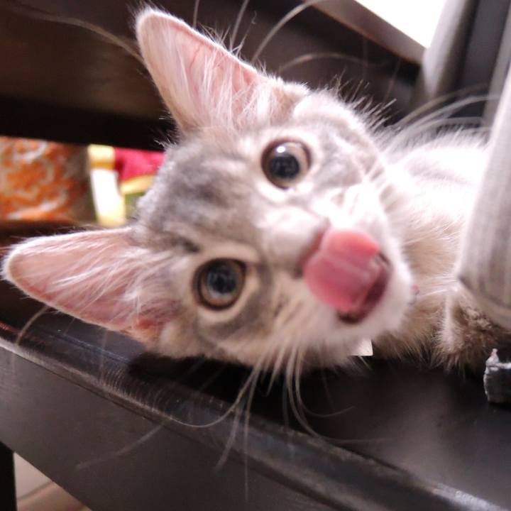 09a28684 2fbc 4234 ae22 2b9a9bf4bf66